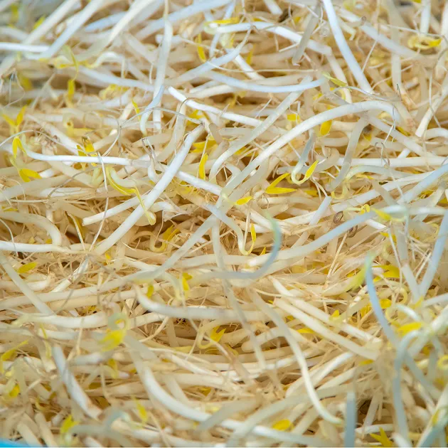 想夫恋 こだわり